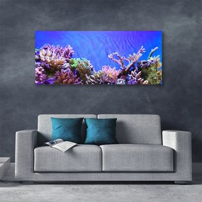 Tablou pe panza canvas Coral Reef Natura Multi