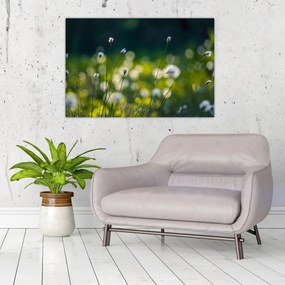 Tablou - Iarbă (90x60 cm)