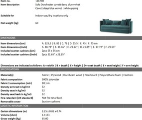 Canapea fixa design LUX Dorchester