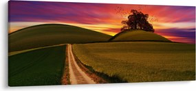Tablou câmpului cu apus de soare (120x50 cm)