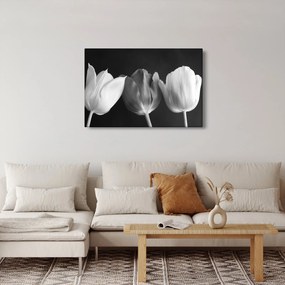 Tablou - Lalele alb negre (90x60 cm)
