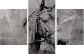 Tablou - Portret de cal (90x60 cm)
