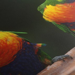 Tablou cu papagali (cu ceas) (90x30 cm)