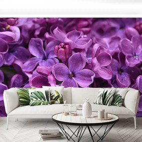 Fototapet Violet Flori
