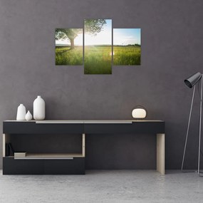 Tablou cu lunca în vară (90x60 cm)