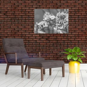 Tablou pe sticlă - Flori uscate (70x50 cm)