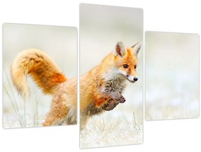 Tablou - Vulpe care sare (90x60 cm)