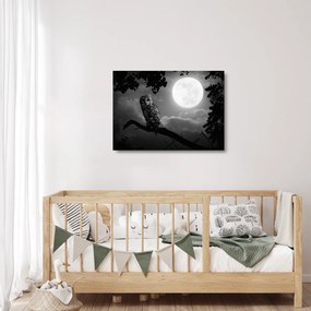 Tablou pe sticlă - Bufniță de noapte, alb și negru (70x50 cm)