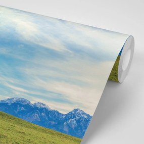 Fototapet panorama munților