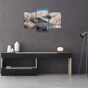 Tablou - pomi înfloriți în Asia (90x60 cm)