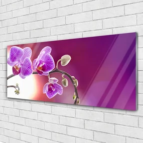 Tablouri acrilice Flori roz Floral