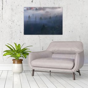 Tablou - Pădure în ceță, Carpați, Ucraina (70x50 cm)