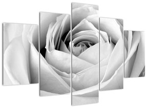 Tablou - Detailu de floare de trandafir (150x105 cm)