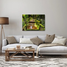 Tablou cu scări într-o pădure tropicală (70x50 cm)