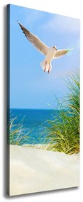 Imprimare tablou canvas Seagull peste dune