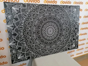 Tablou Mandala decorativă detaliată în design alb-negru