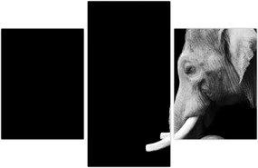 Tablou - Elefant (90x60 cm)