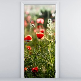 Fototapet pentru ușă - Maci (95x205cm)
