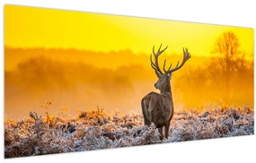 Tablou - Cerb la răsăritul soarelui (120x50 cm)