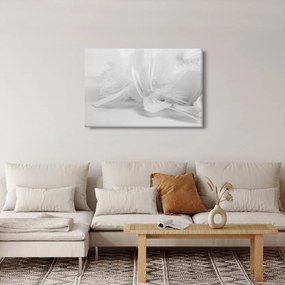 Tablou - Pene (90x60 cm)