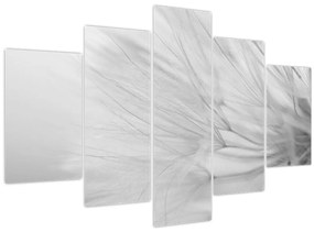 Tablou - Dandelion (150x105 cm)