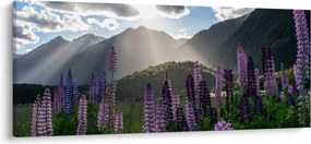 Tablou - scenariu cu flori de Lupin (120x50 cm)