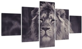 Tablou cu leu (125x70 cm), în 40 de alte dimensiuni noi