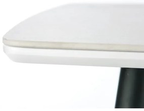 Masă de dining ALARA, finisaj marmură albă/negru