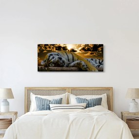 Tablou tigrul dormind (120x50 cm)