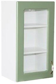 Corp superior 40 vitrina cu 1 usa Zebra MDF verde drept