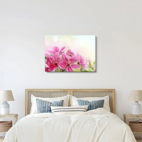 Tablou - Flori roz (70x50 cm)