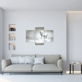 Tablou - Cal alb (90x60 cm)