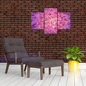 Tablou detailat cu floare (90x60 cm)