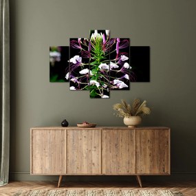 Tablou cu floare (150x105 cm)