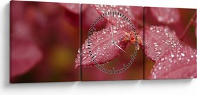 Tablou - Imagine macro a biletului (cu ceas) (90x30 cm)
