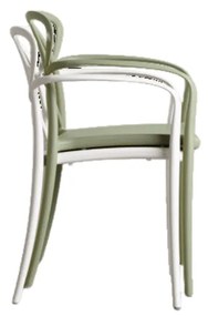 SCAUN CU BRATE INFINITY -POLIPROPILENA-HORECA - BEJ TORTORA