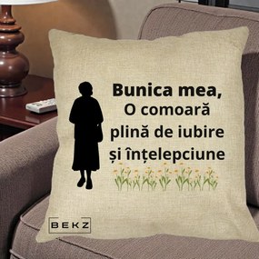 Cadou pentru Bunica - Perna Personalizata Bunica Mea Comoara Iubire Intelepciune Silueta cu Nepoata, 40x40 cm, Crem, Husa Detasabila, Perna Inclusa, BEKZ®