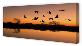 Tablouri canvas păsări care zboară apus de soare