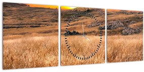 Tablou cu câmp (cu ceas) (90x30 cm)