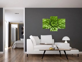 Tablou - Imagine macro a unei plante (90x60 cm)