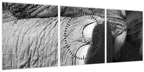 Tablou - Picior de elefant (cu ceas) (90x30 cm)