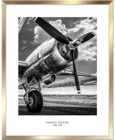 Ramă foto de perete Styler Floryda, 43 x 53 cm, auriu