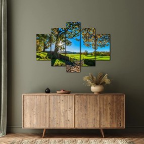 Tablou Privire la câmp (150x105 cm)