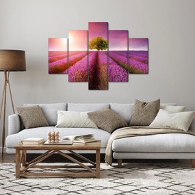 Tablou câmp cu lavandă (150x105 cm)