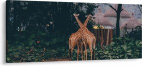 Tablou cu două girafe (120x50 cm)