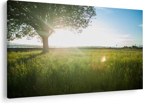 Tablou cu lunca în vară (90x60 cm)