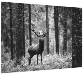 Tablou - Căprioare in pădure 2,alb-negru (70x50 cm)