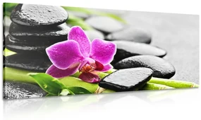 Tablou natura moartă wellness cu orhidee violetă