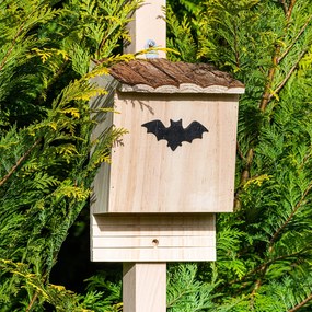 Căsuță pentru lilieci, cuib, ajutor pentru iarnă, locuibilă pe tot parcursul anului, lemn de pin