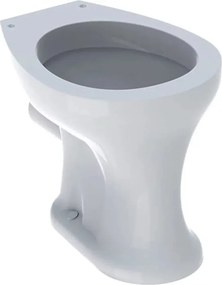 Vas wc pe pardoseala pentru copii Geberit Bambini cu spalare orizontala